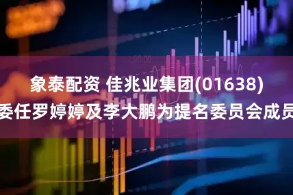 象泰配资 佳兆业集团(01638)委任罗婷婷及李大鹏为提名委员会成员