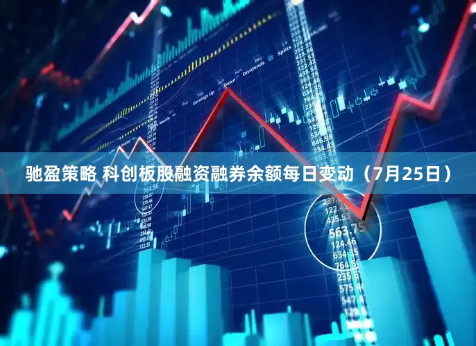 驰盈策略 科创板股融资融券余额每日变动（7月25日）