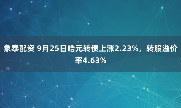 象泰配资 9月25日皓元转债上涨2.23%，转股溢价率4.63%