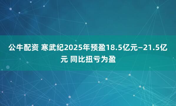 公牛配资 寒武纪2025年预盈18.5亿元—21.5亿元 同比扭亏为盈