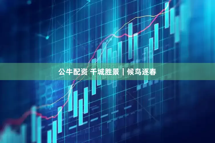公牛配资 千城胜景｜候鸟逐春