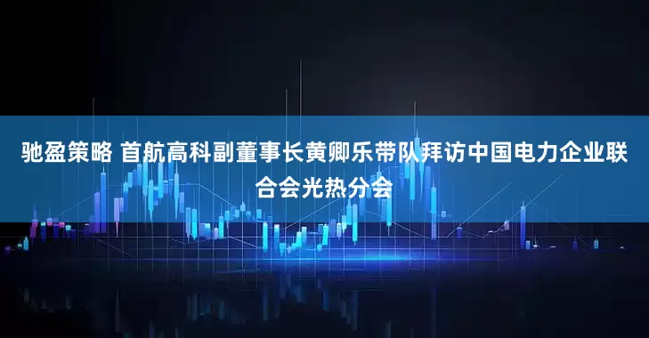 驰盈策略 首航高科副董事长黄卿乐带队拜访中国电力企业联合会光热分会